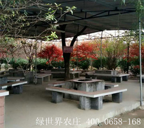 户外烧烤
