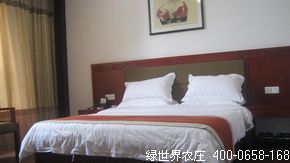 豪华套房