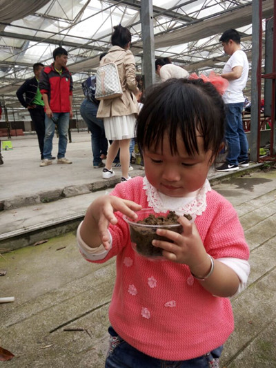 幼儿亲子活动—绿世界拓展