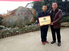 绿世界