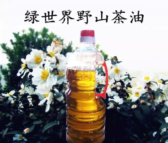 绿世界