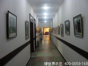 真卿书画院