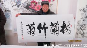 真卿书画院