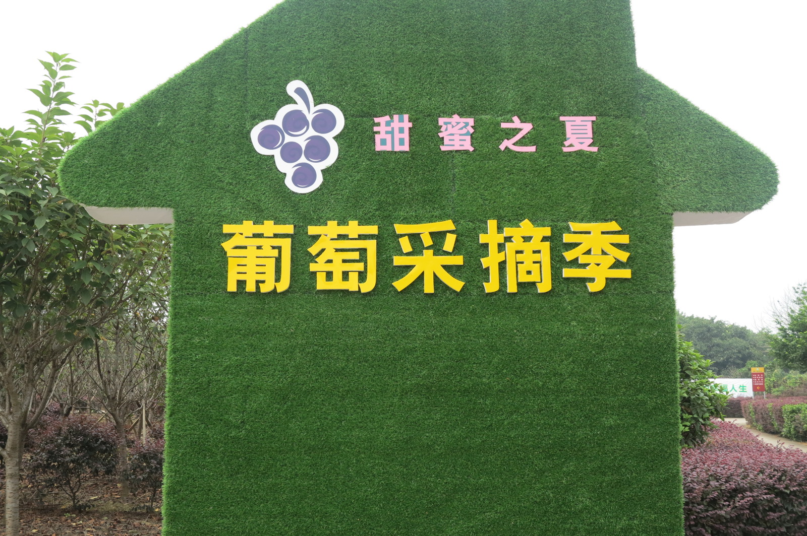 绿世界