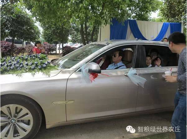 绿世界