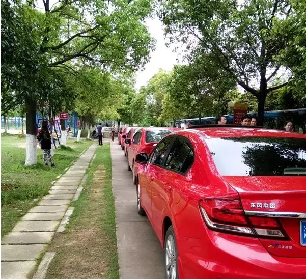 绿世界
