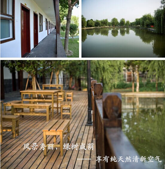 绿世界