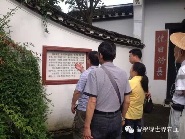 绿世界
