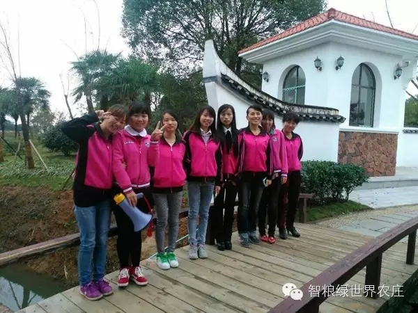 绿世界