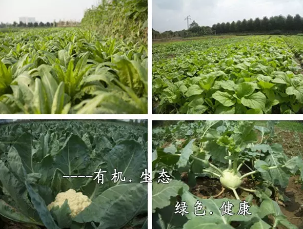 QQ截图20161101121651.png