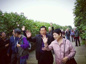 绿世界