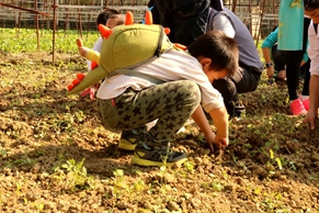 绿世界