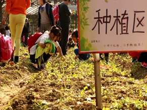 绿世界