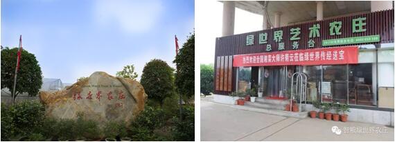 绿世界