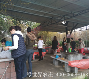 户外烧烤