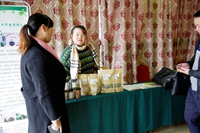 绿世界会议培训基地