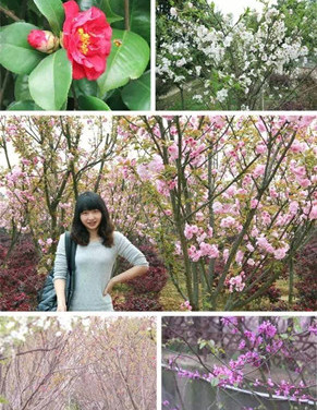 绿世界花期